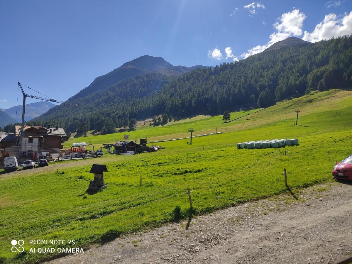 Fior D'Alpe Apartment Livigno Exterior photo